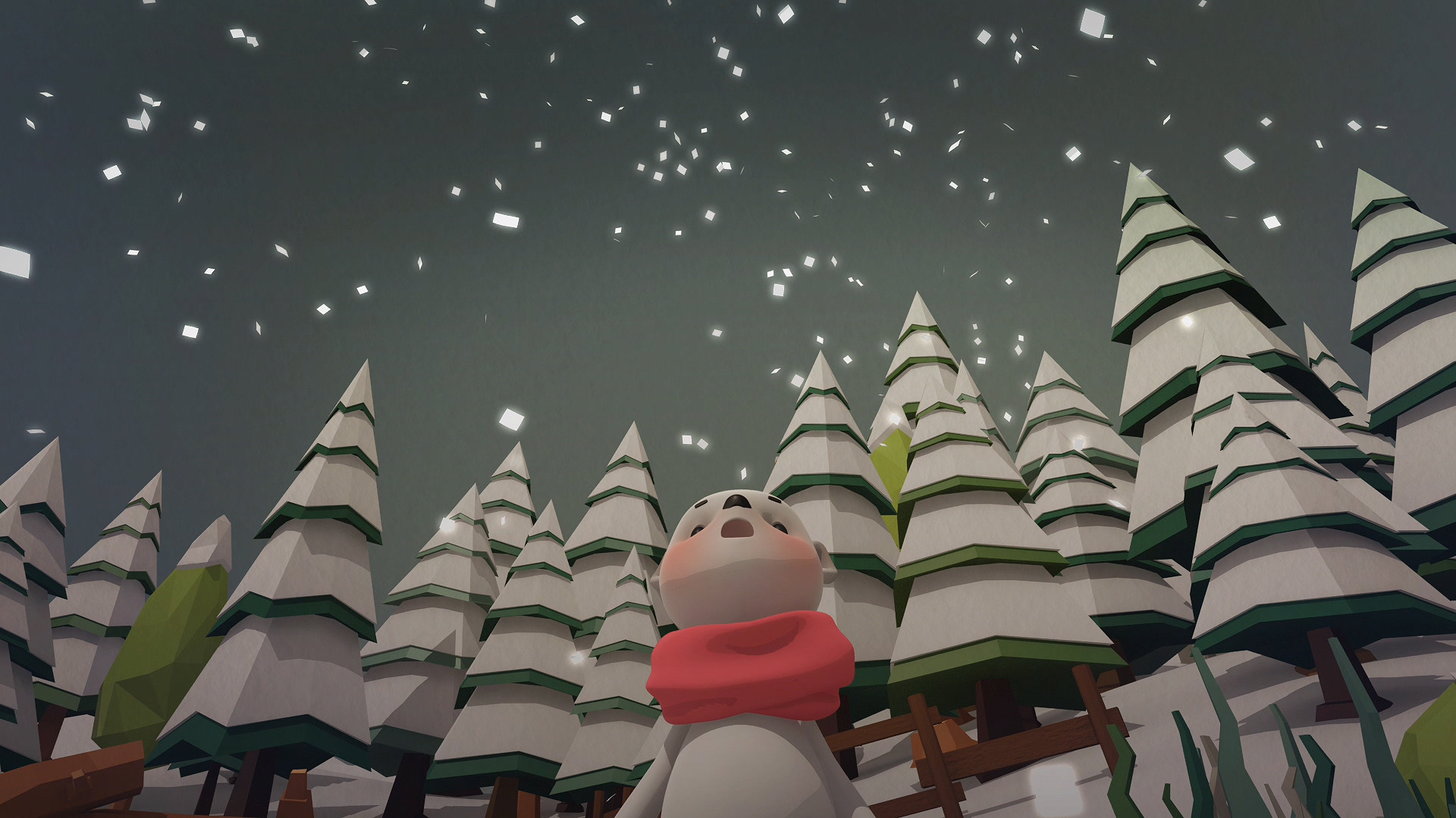 눈의 형상 / Shape of snow